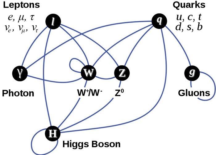 3282-a-diagram-summarizing-the-tree-level-interactions-between-elementary-p.jpg