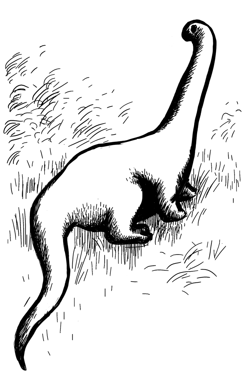 800px-Mokele-mbembe_ill_artlibre_jnl.png